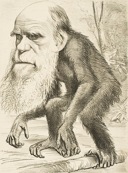 cartoon-Darwin