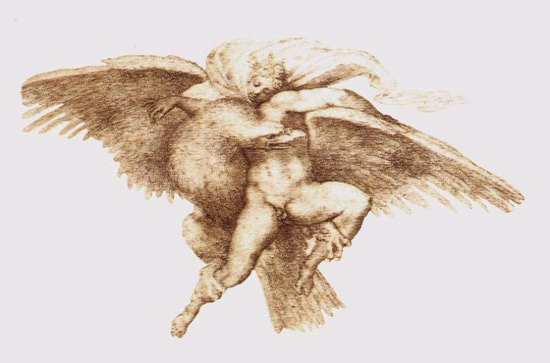 Michelangelo-Ganymede