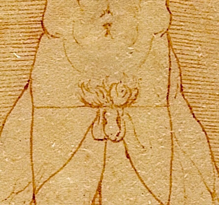 Leonardo-Vitruvian-Man